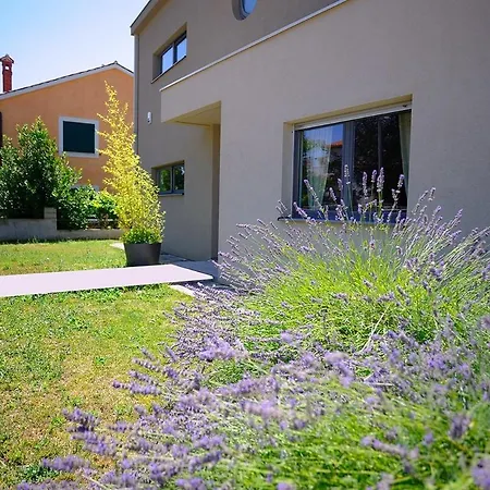 Holiday home House Zara Medulin, Tastefully Decorated House